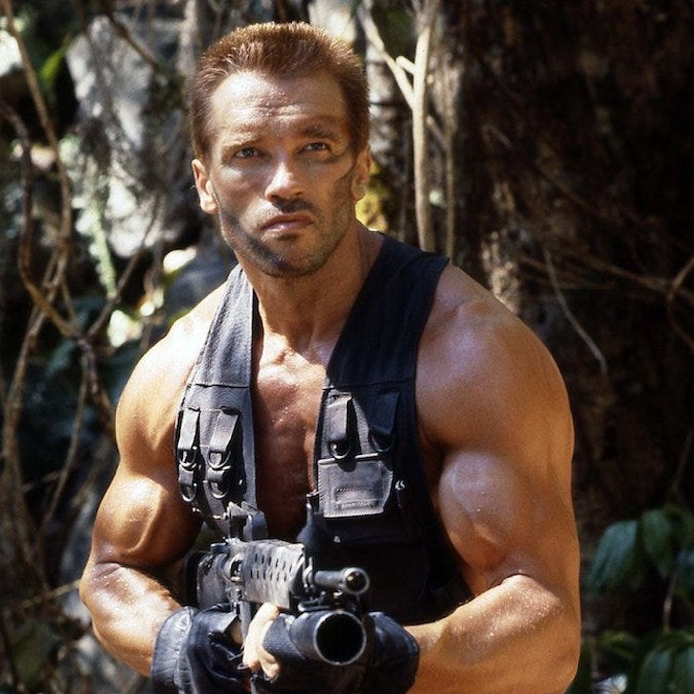 Wing of Predator - 224 - Predator