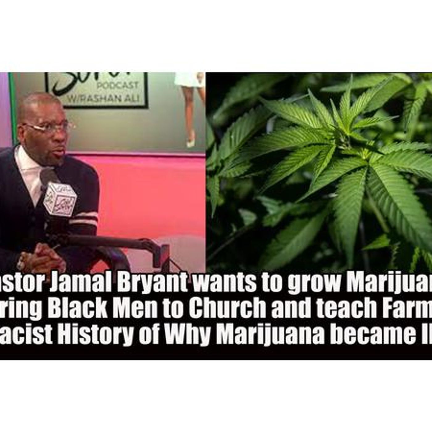 The African History Network Show