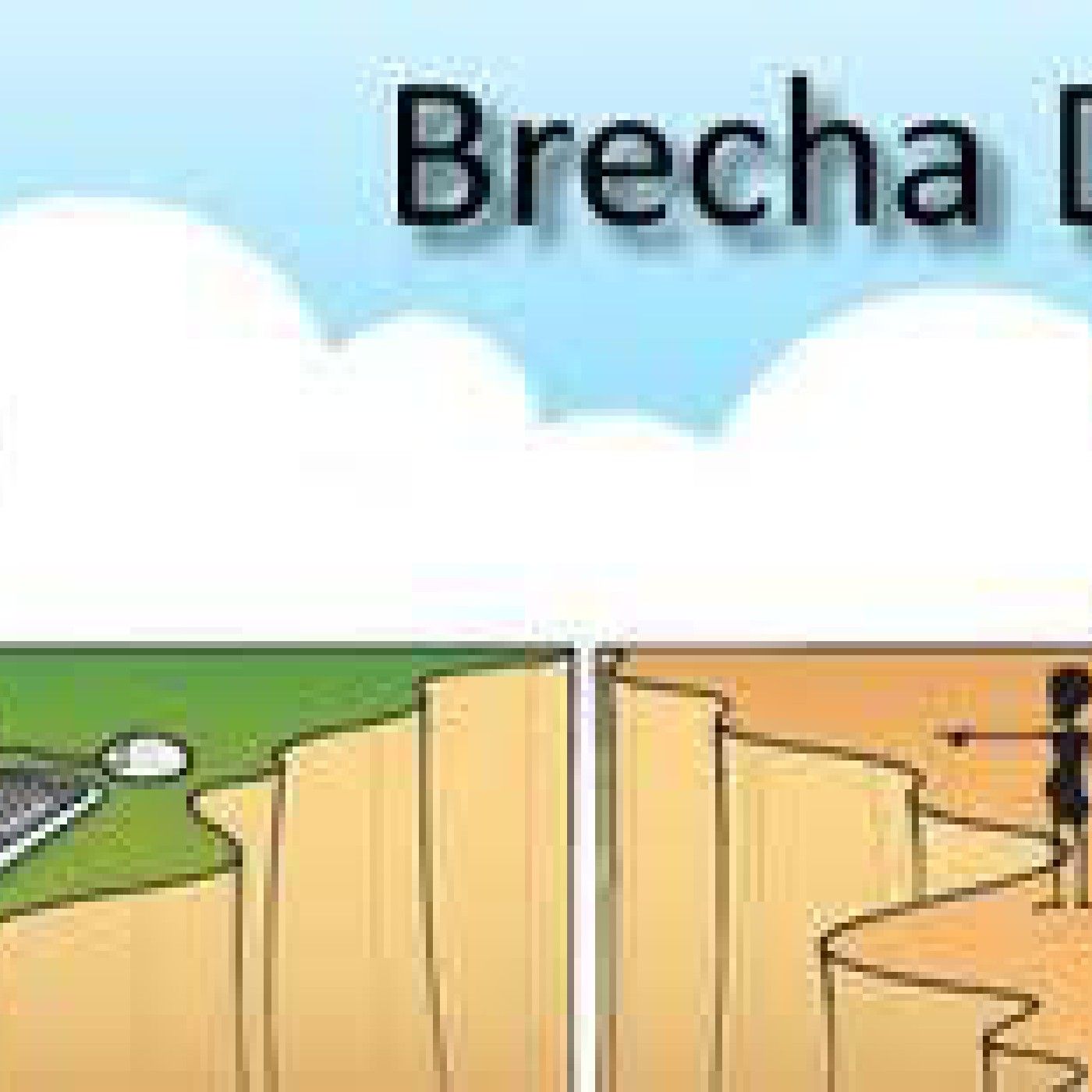 La brecha digital de acceso podcast artwork