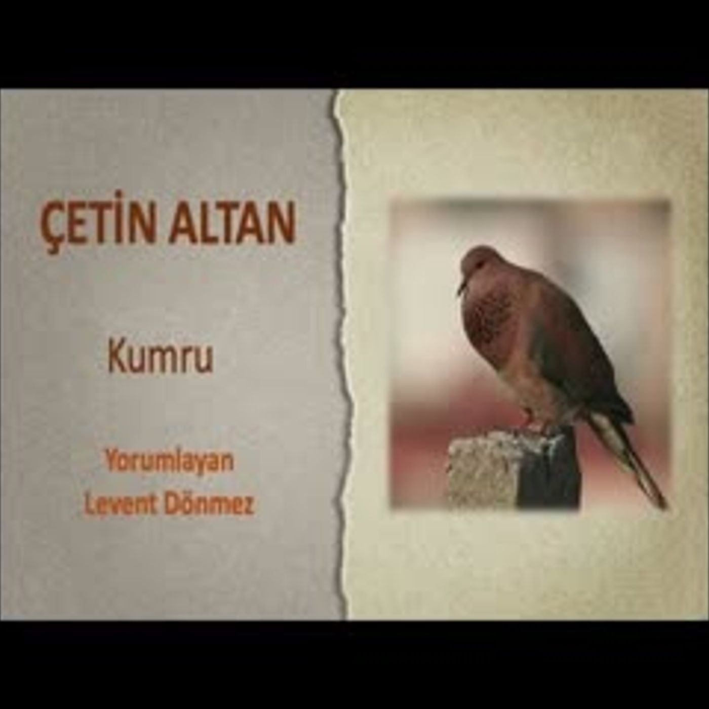 Çetin Altan -  Kumru episode artwork