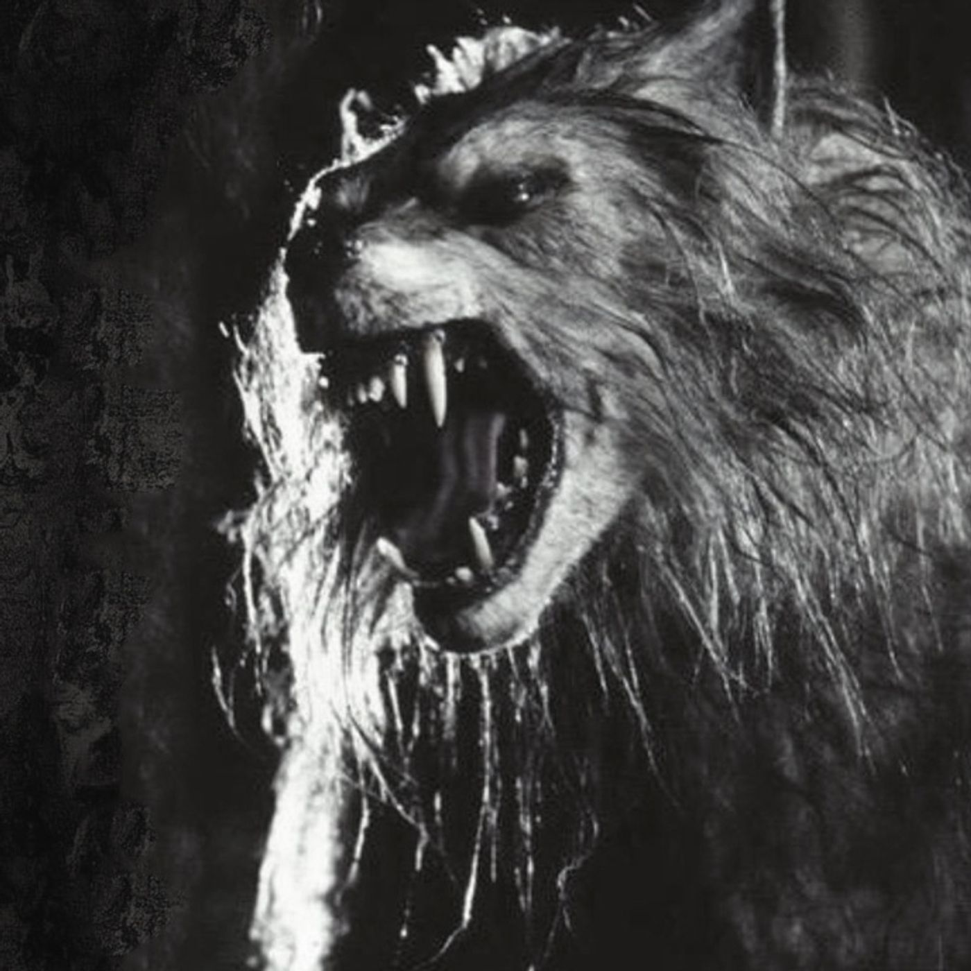 Cruce De Nahuales Historias De Terror - REDE