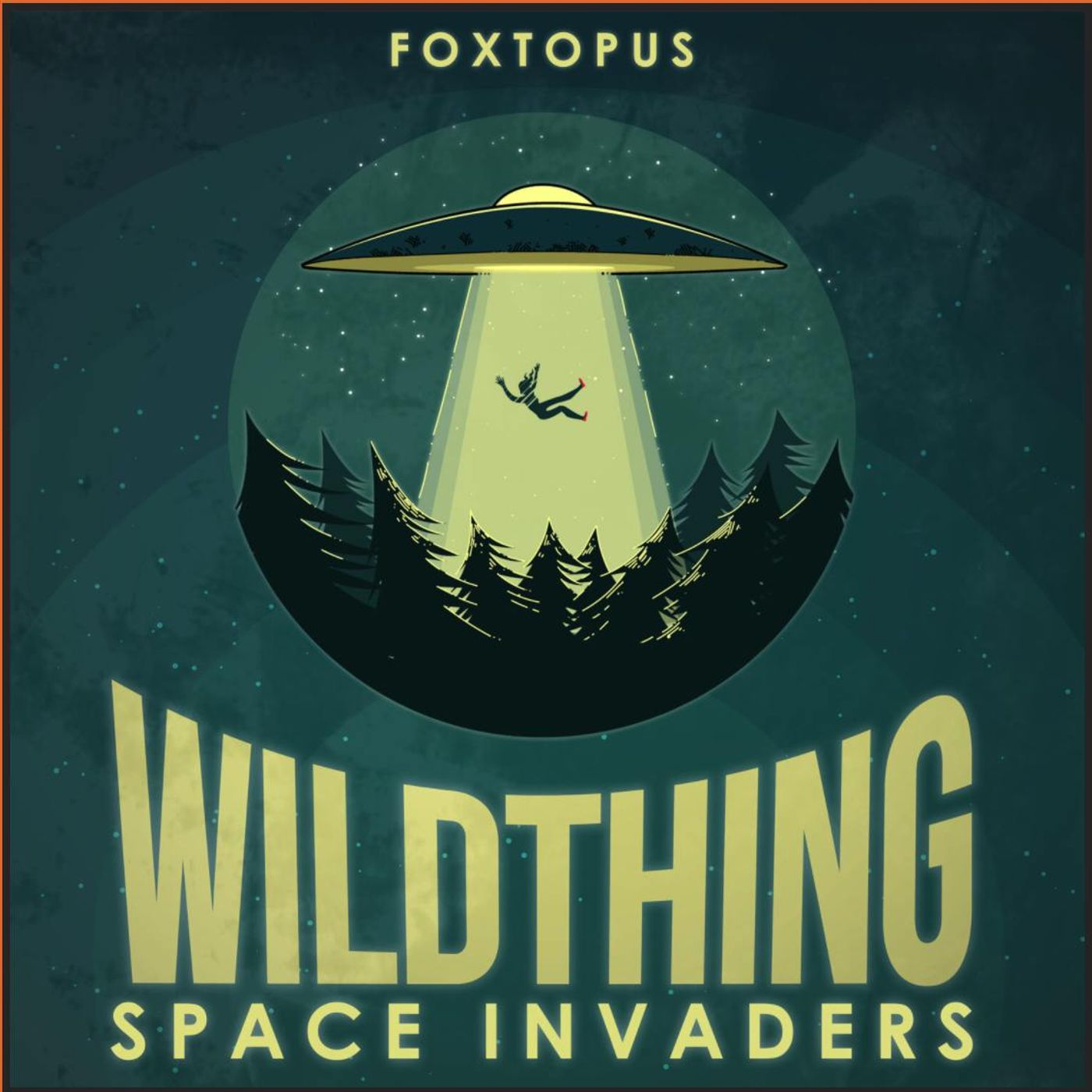 Wild Thing 2: Space Invaders