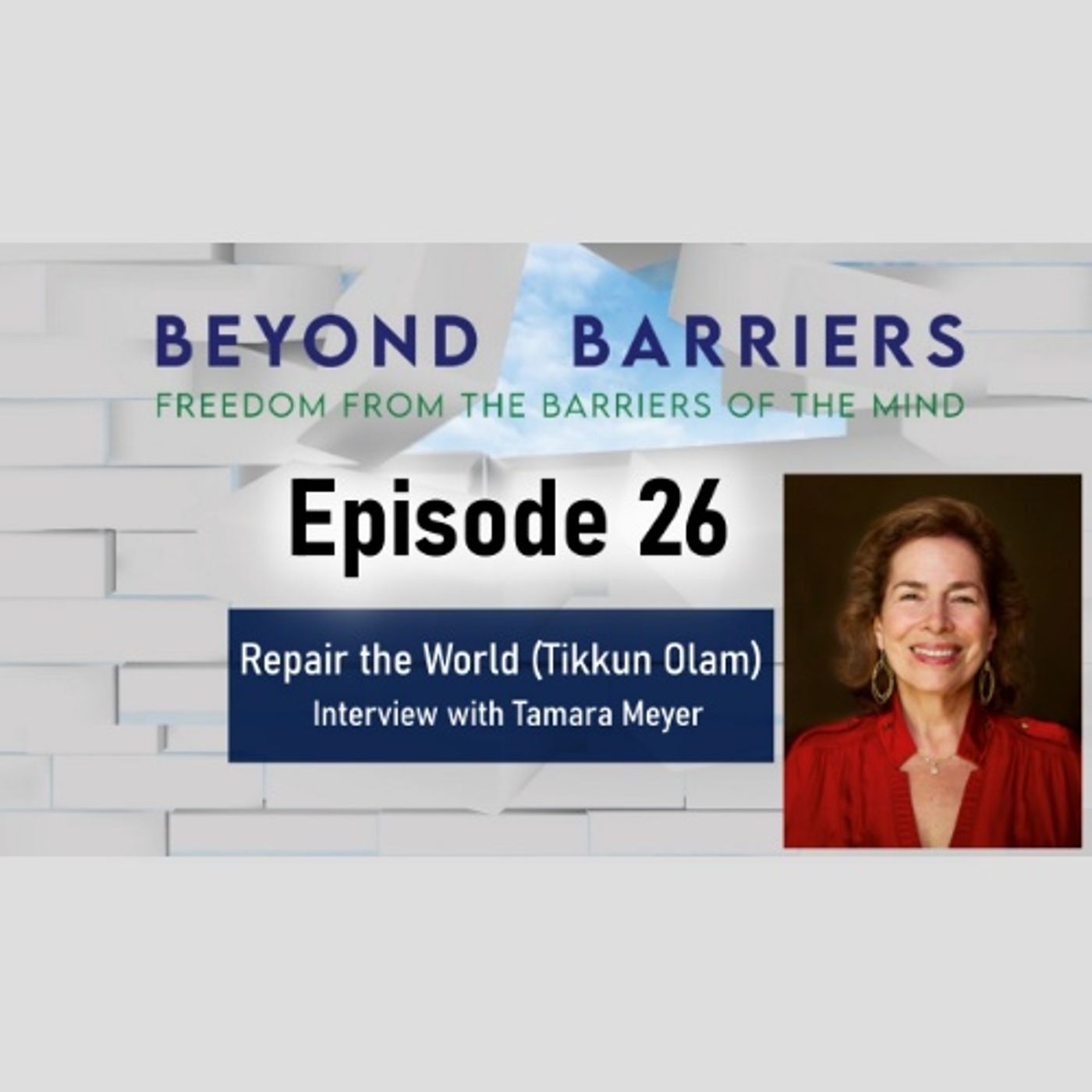 #Repair the #World (Tikkun Olam) -  Episode 26 - Interview w/ Tamara Meyer