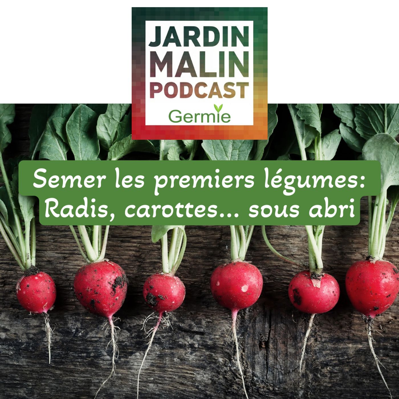JARDIN MALIN by Germie
