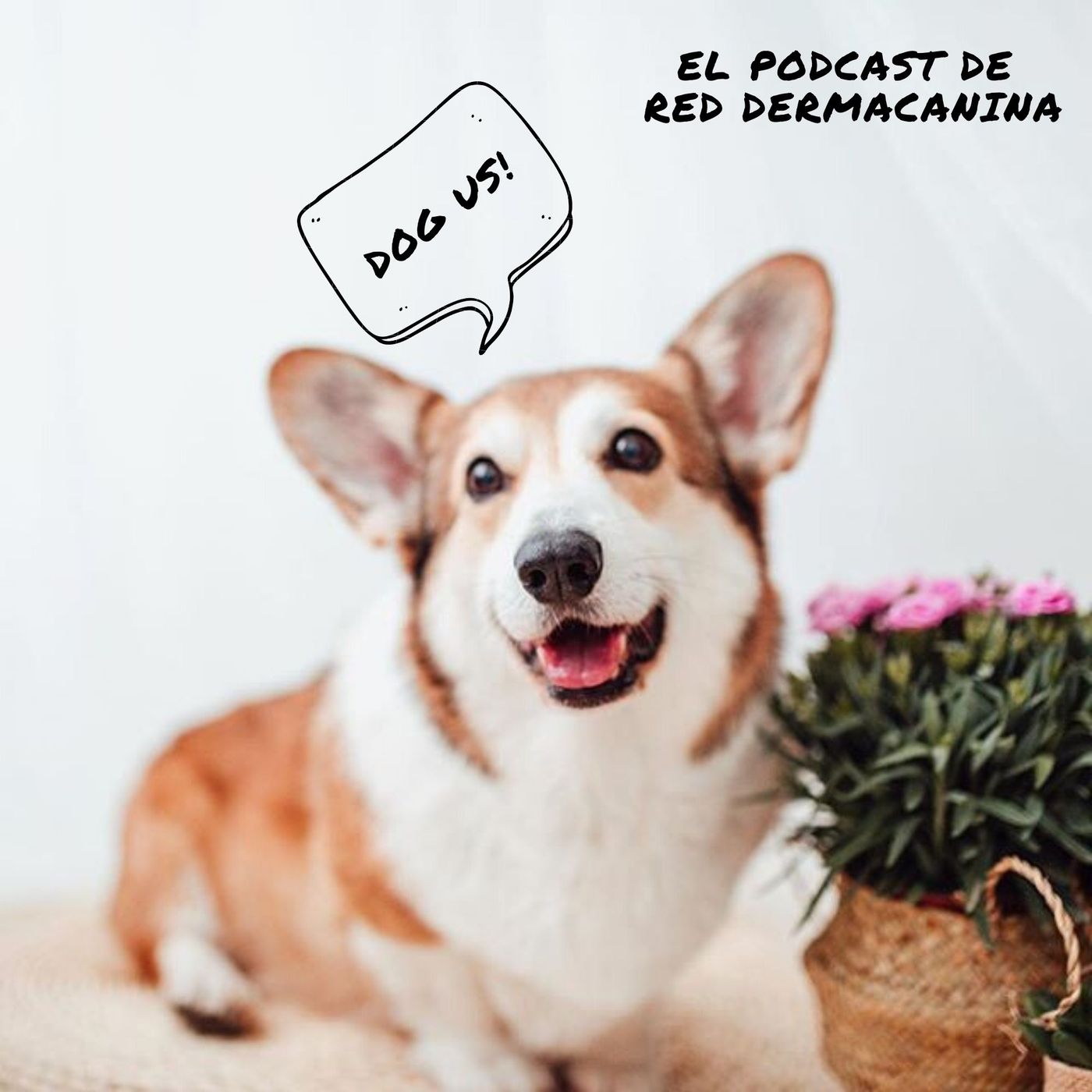 Dog Us! El podcast más dogfriendly