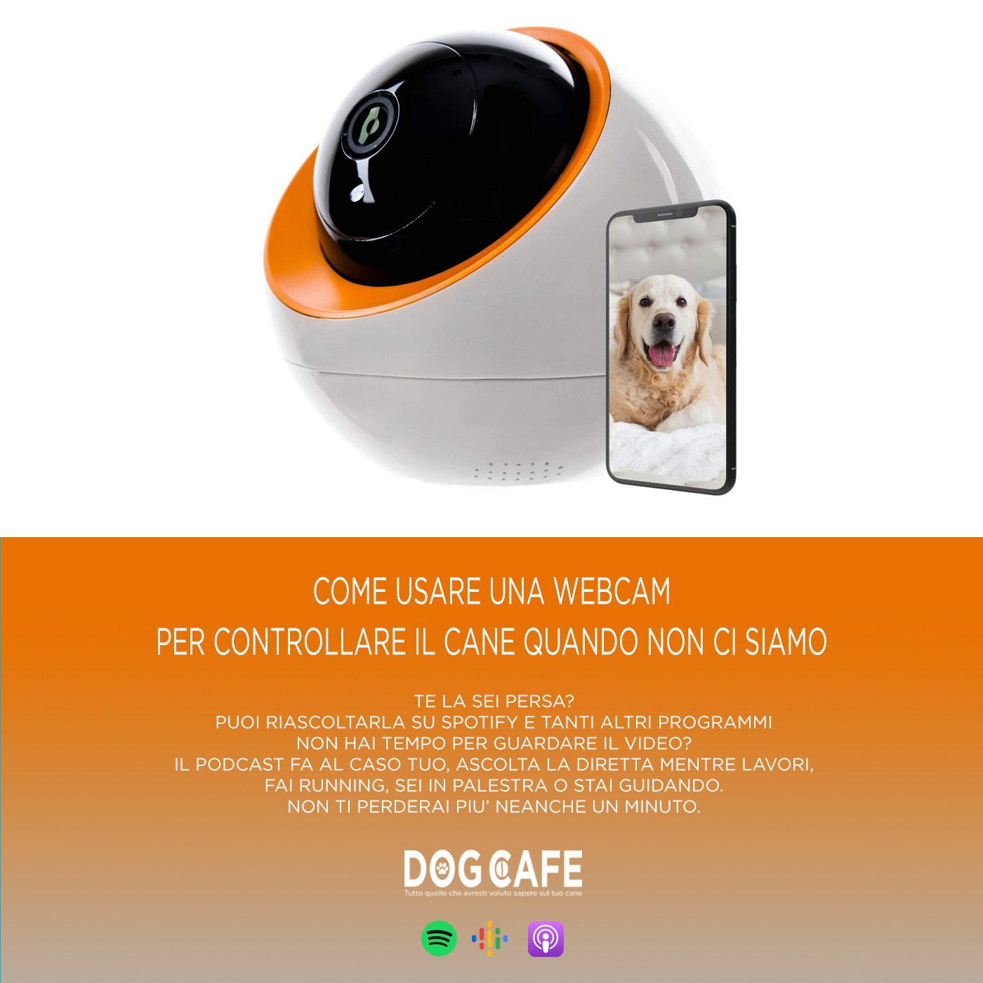 Dog Cafe Podcast