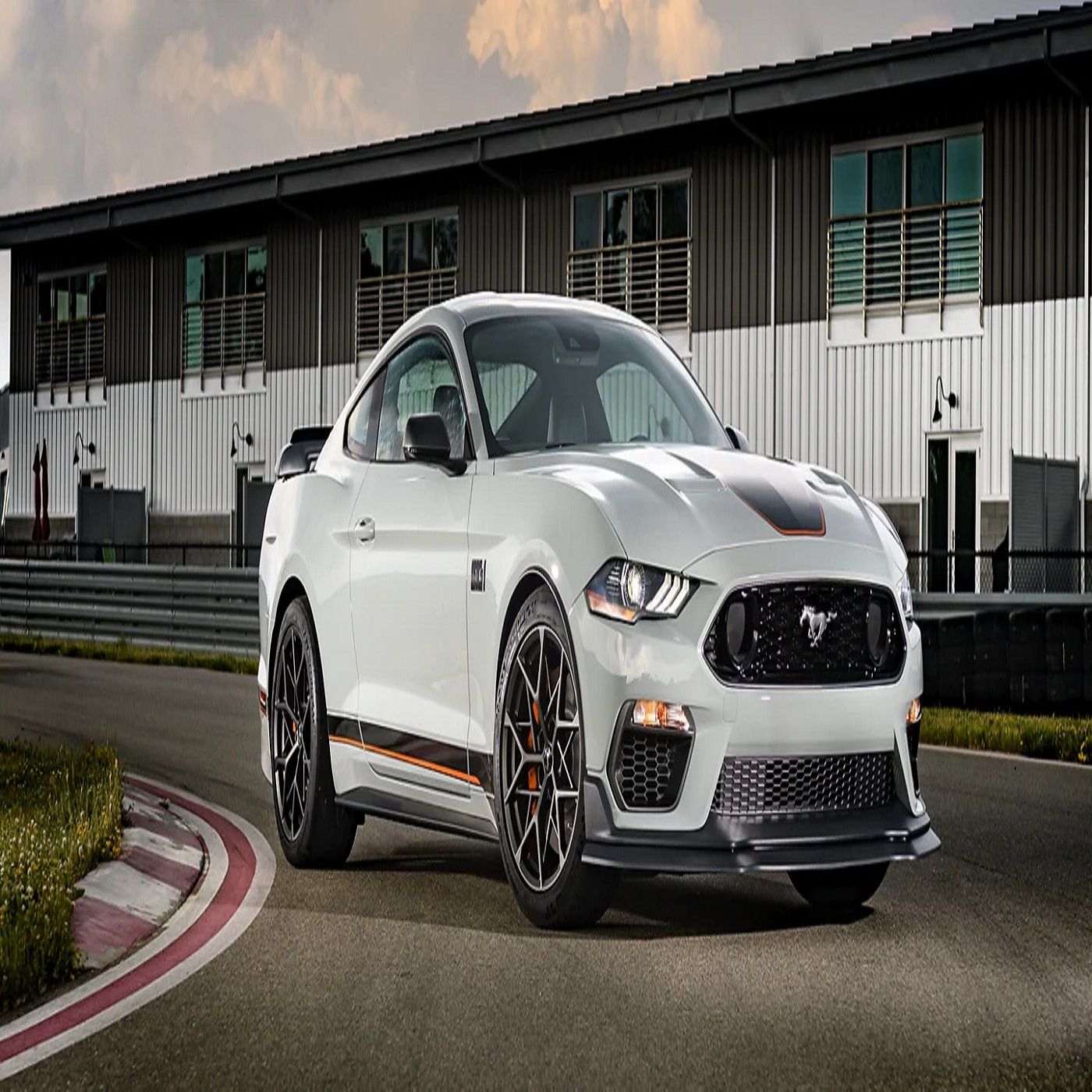 mustang