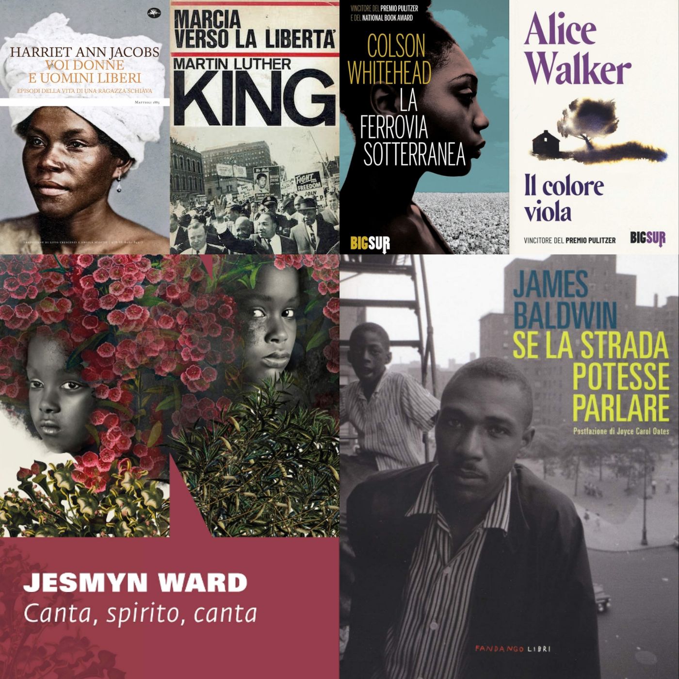 This land is your land - La letteratura USA contro il razzismo: 10 titoli consigliati episode artwork