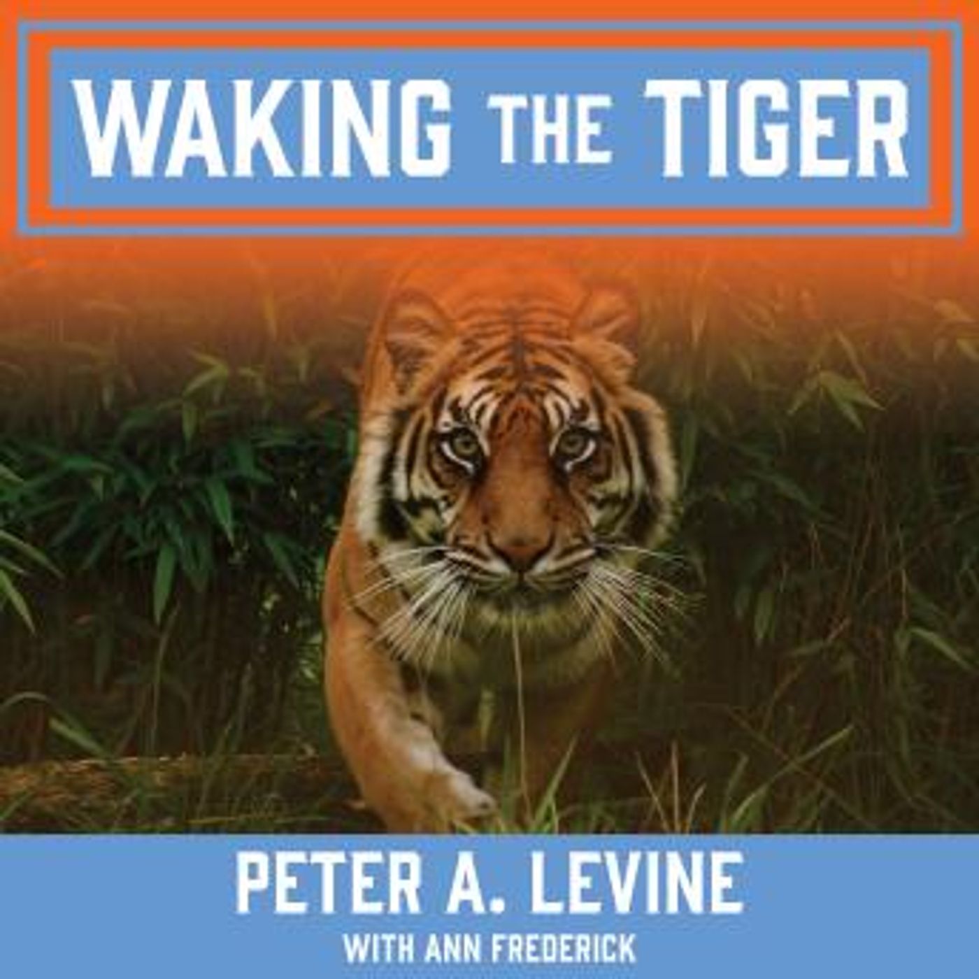 Find Best-Selling Full Audiobooks in Health & Wellness, Fitness, Diet & Nutrition