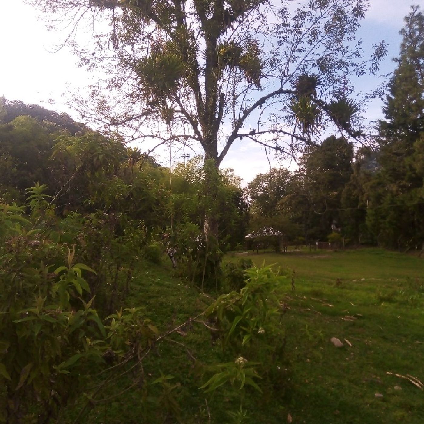 Episodio 16 - Visión Global Sanidad Interior