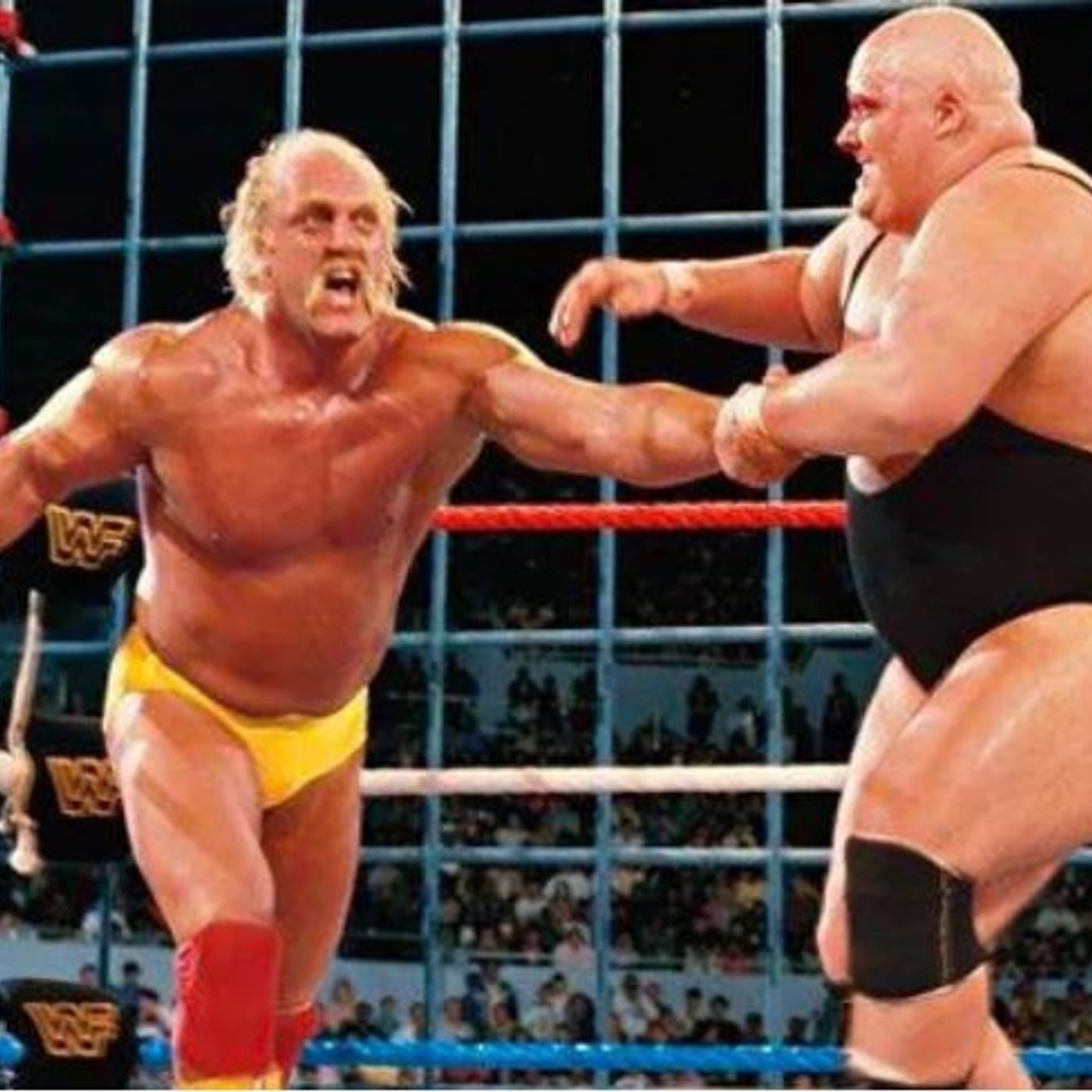ATR 189: A legend passes on, The Shield Returns, Ronda goes heel, and Fastlane preview episode artwork