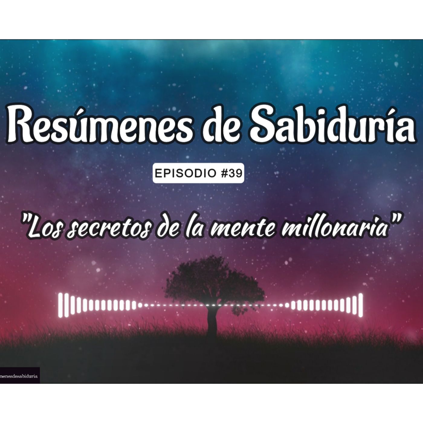 Resumenes de Sabiduria
