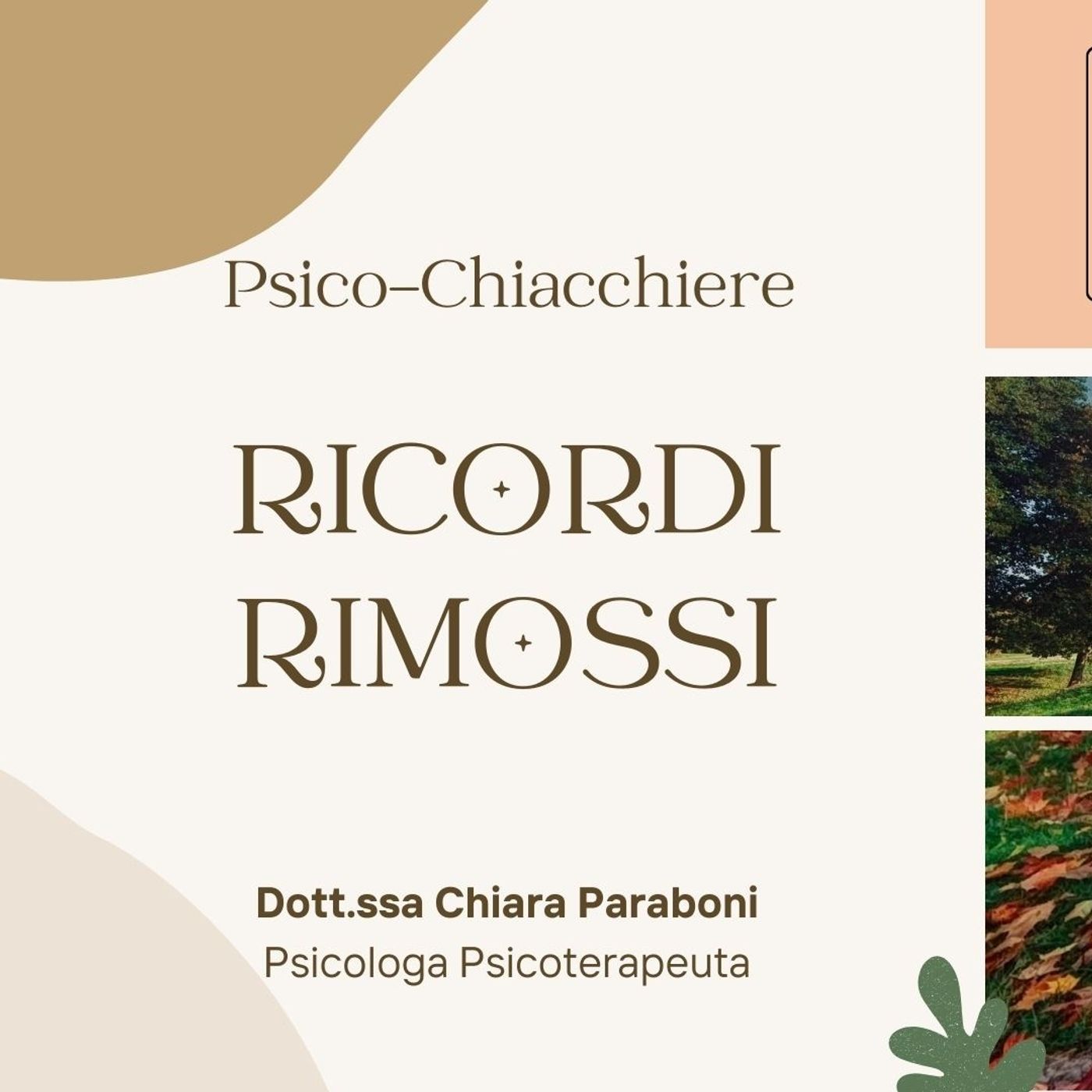 Stagione 2024-2025