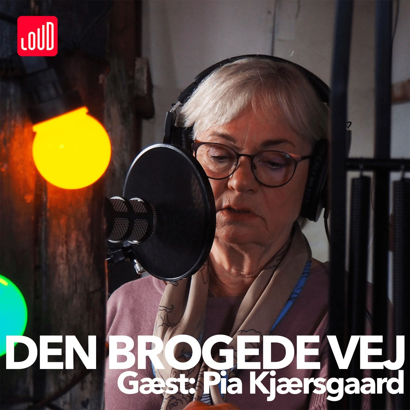 Den Brogede Vej