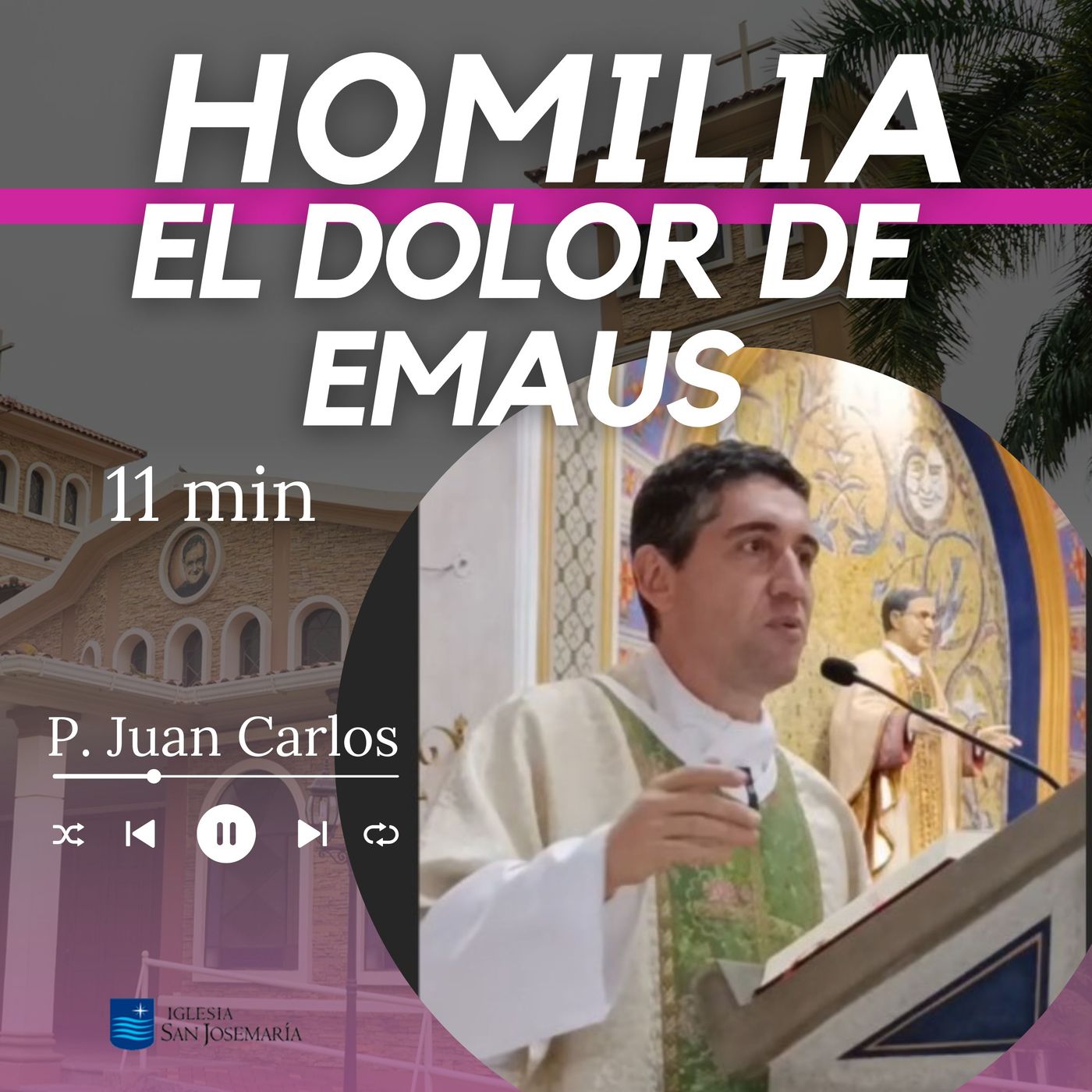 HOMILIA: Cristo camina con nosotros en el dolor (11 min) episode artwork