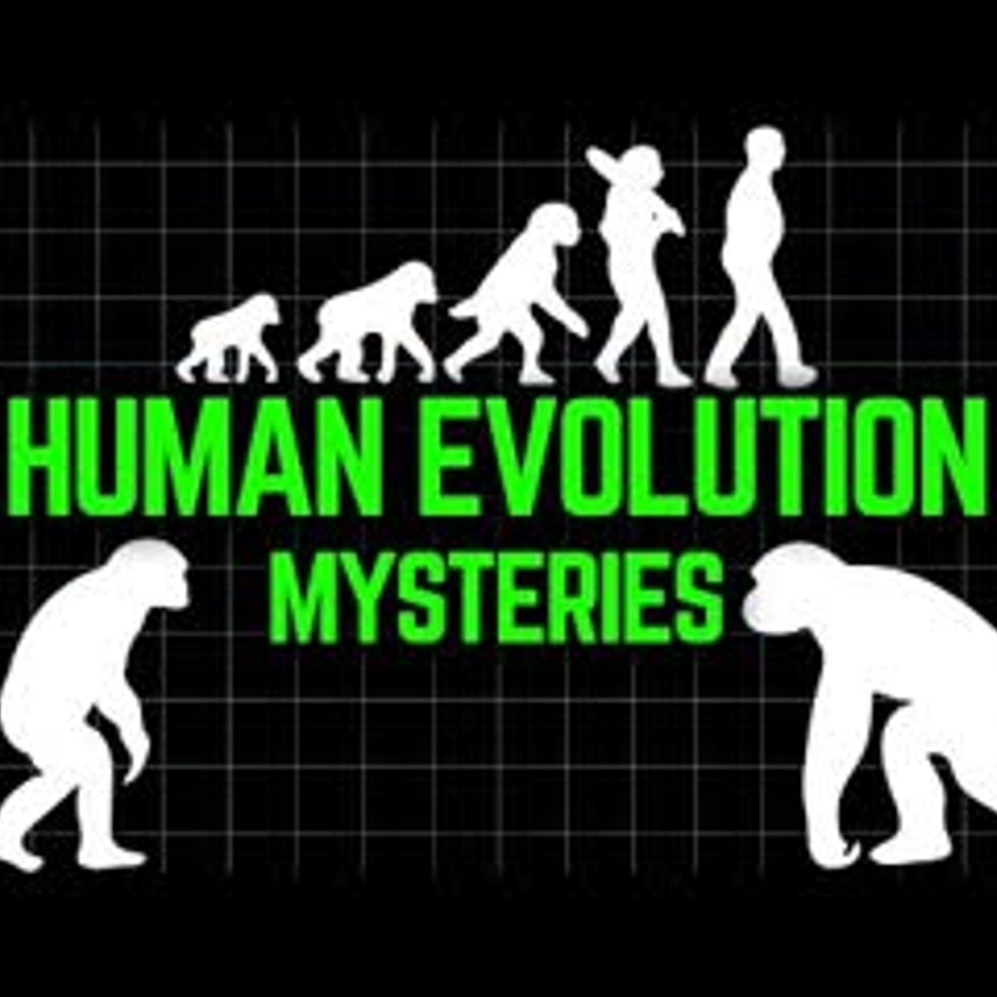 3+ Hours of the Most Unsettling Human Evolution Mysteries to Fall Asleep to