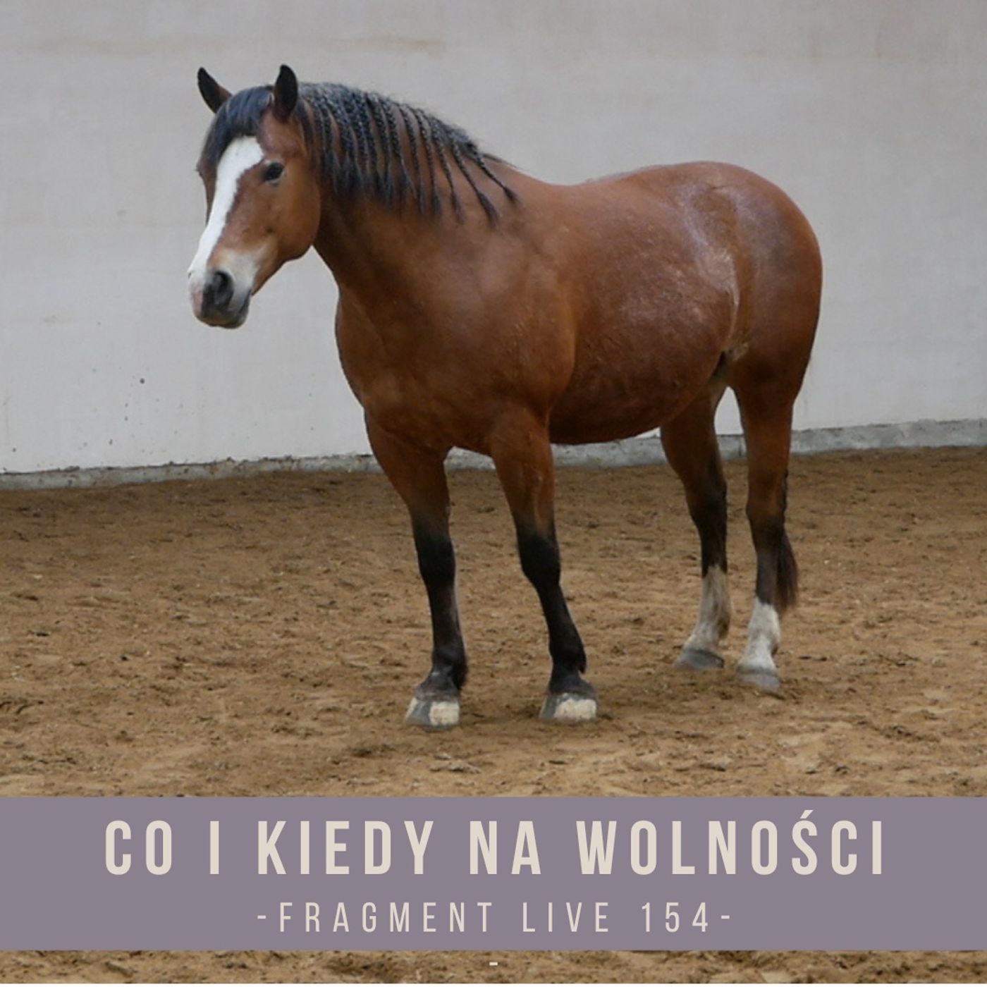 Co i kiedy na wolności - fragment live154 episode artwork