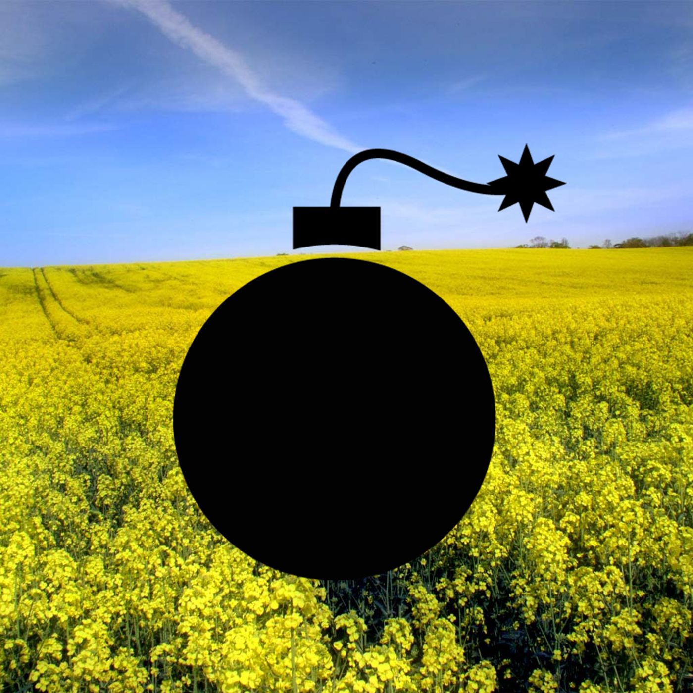 Diffidate dai fiori gialli podcast artwork
