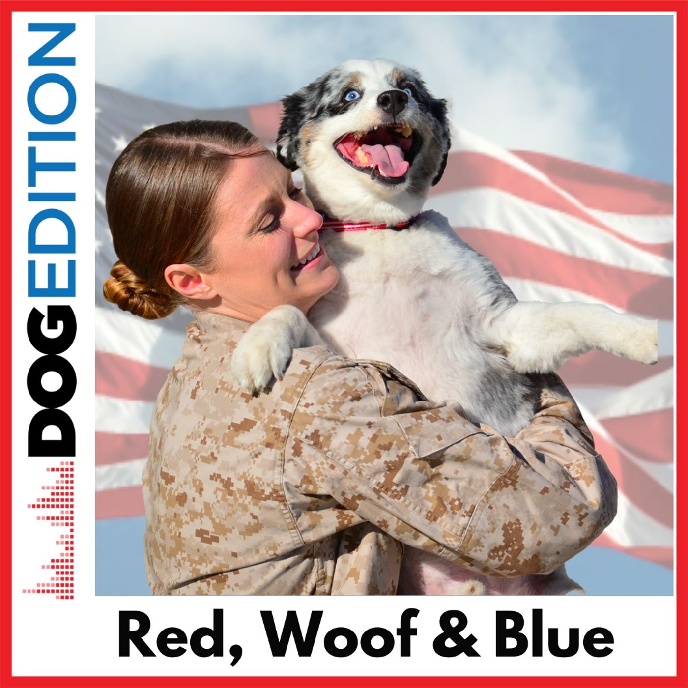 Dog Edition