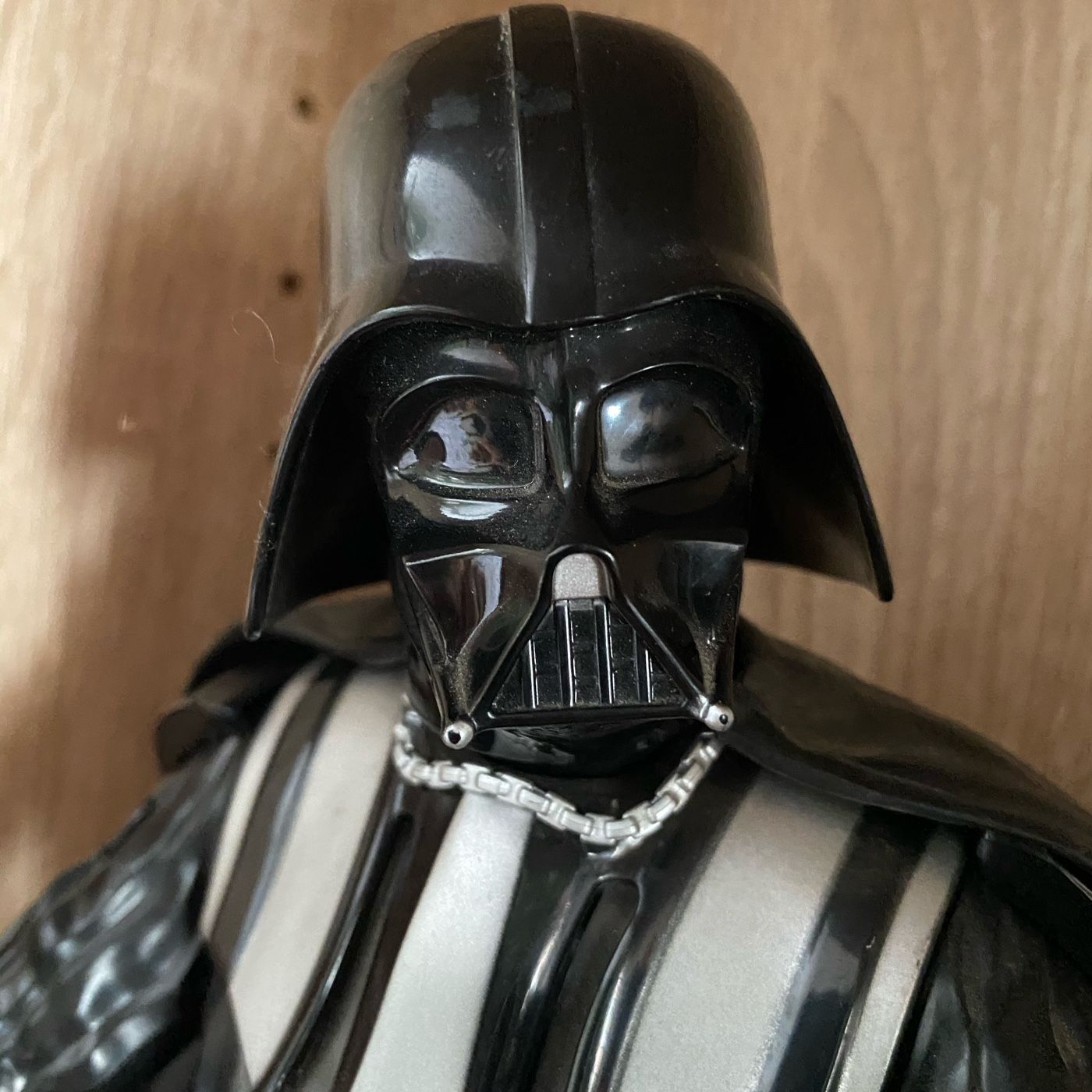 MORFOLOGÍA Y FUNCIÓN 1