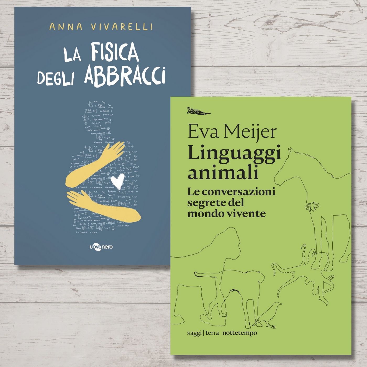 Archivio: Bookblister
