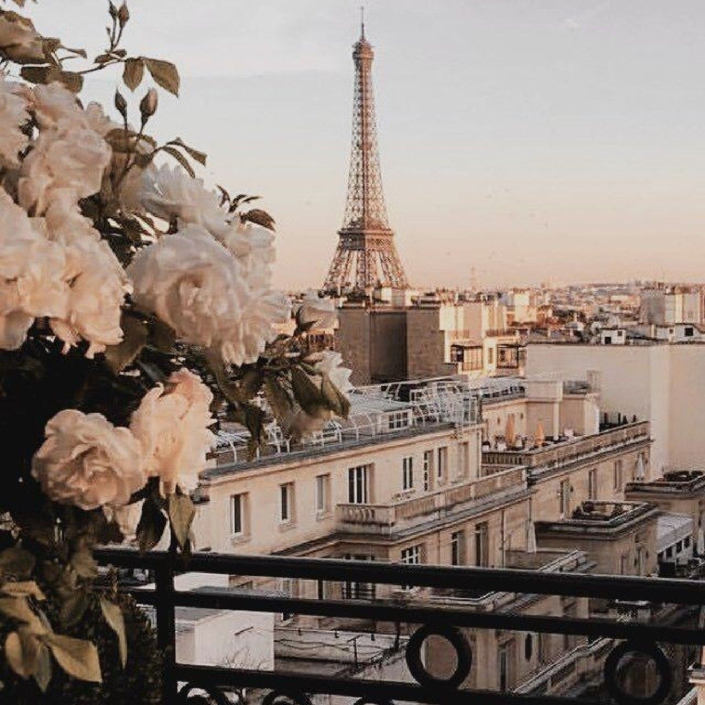 Française