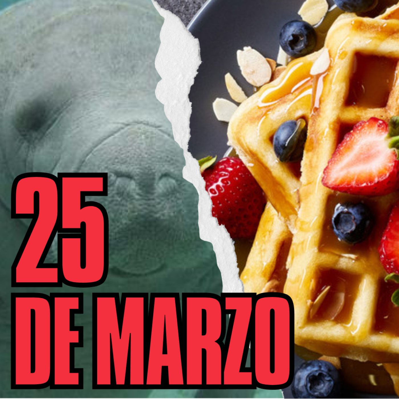 Las mañanas Klanderianas