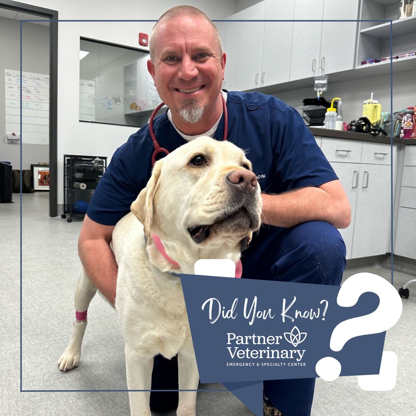 Neurology with Dr. Neary