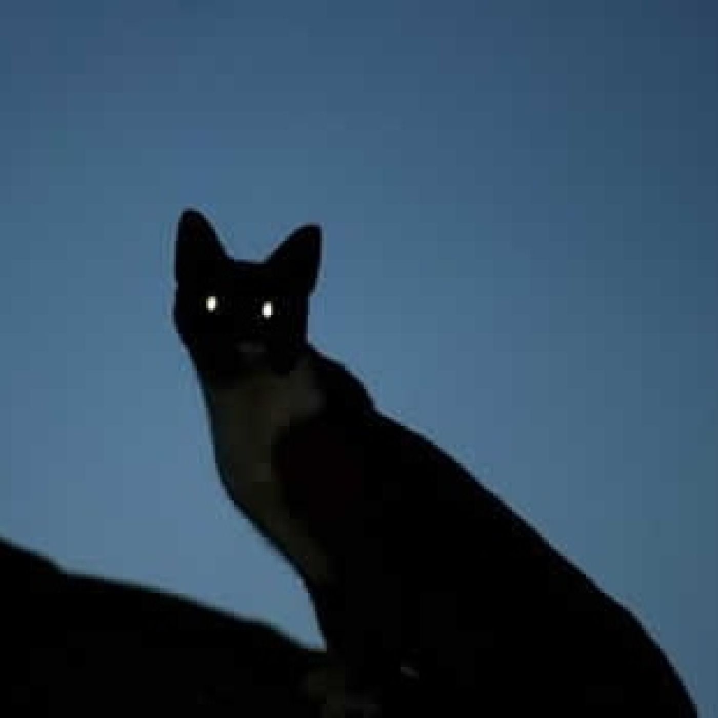Voces del Misterio