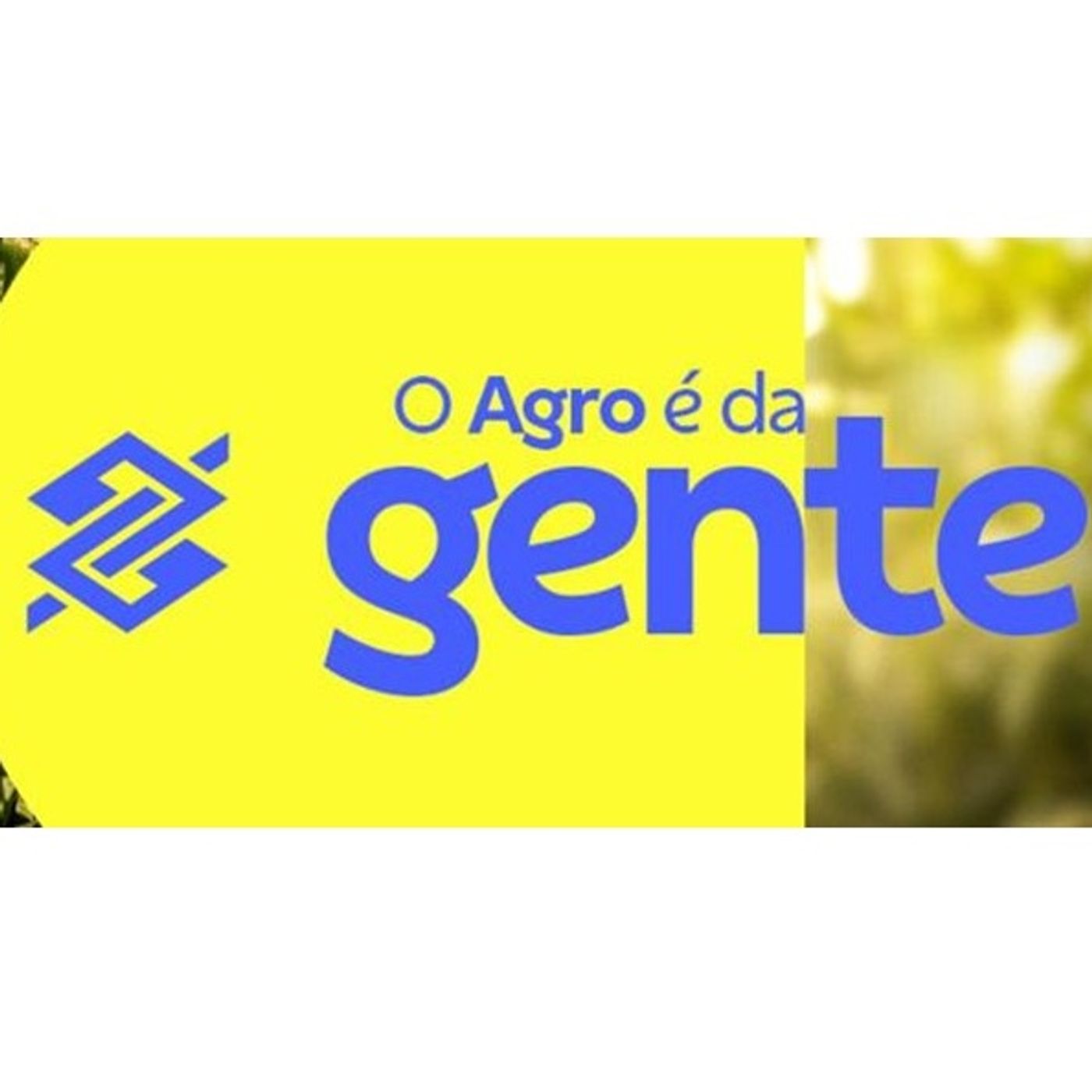 BBCast Agro
