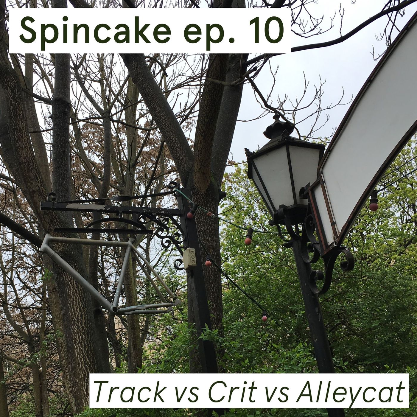Spincake
