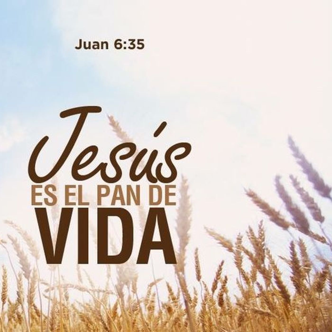 LA PALABRA EN EL CAMINO