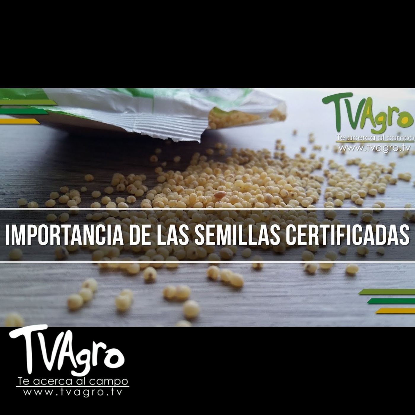 TV AGRO