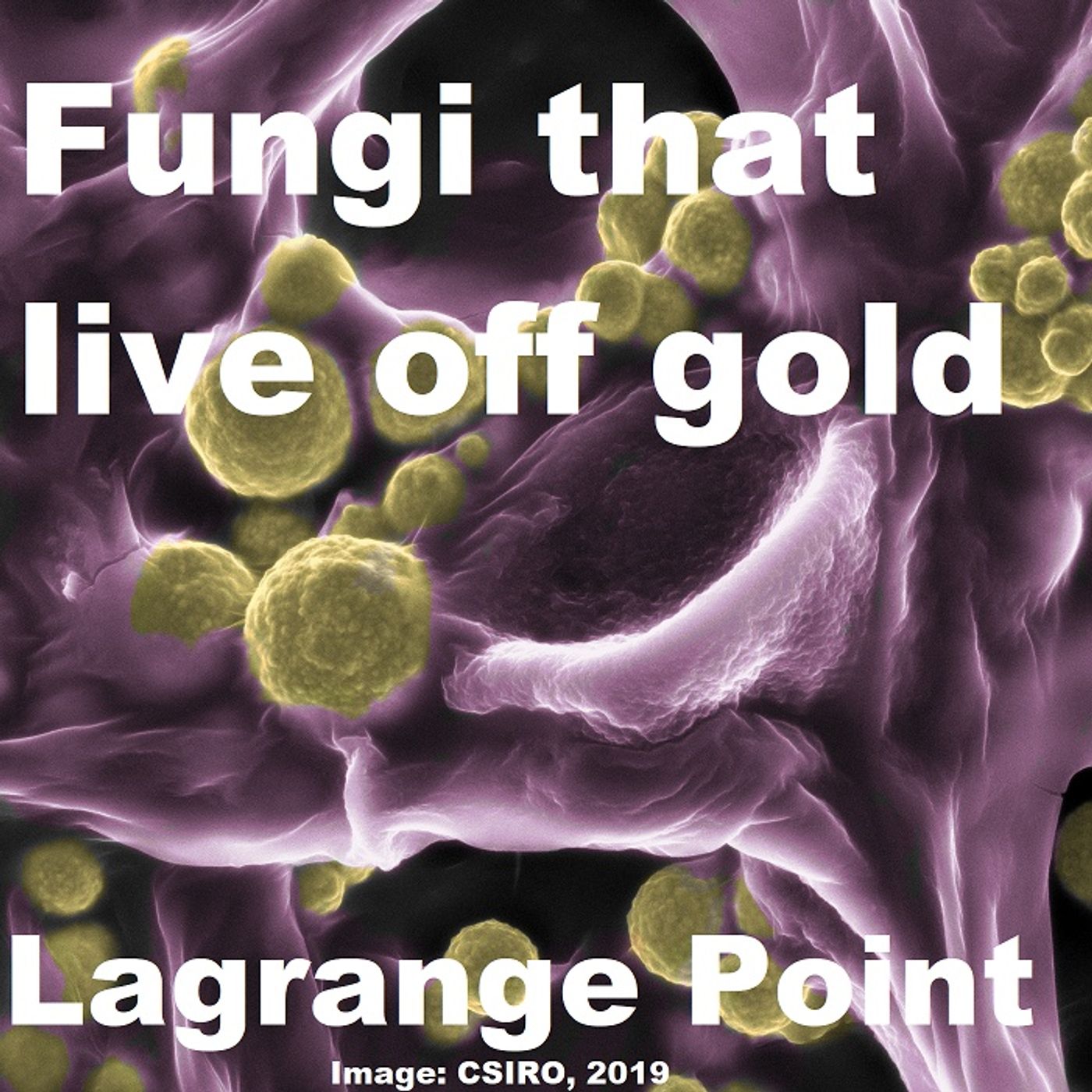 Lagrange Point