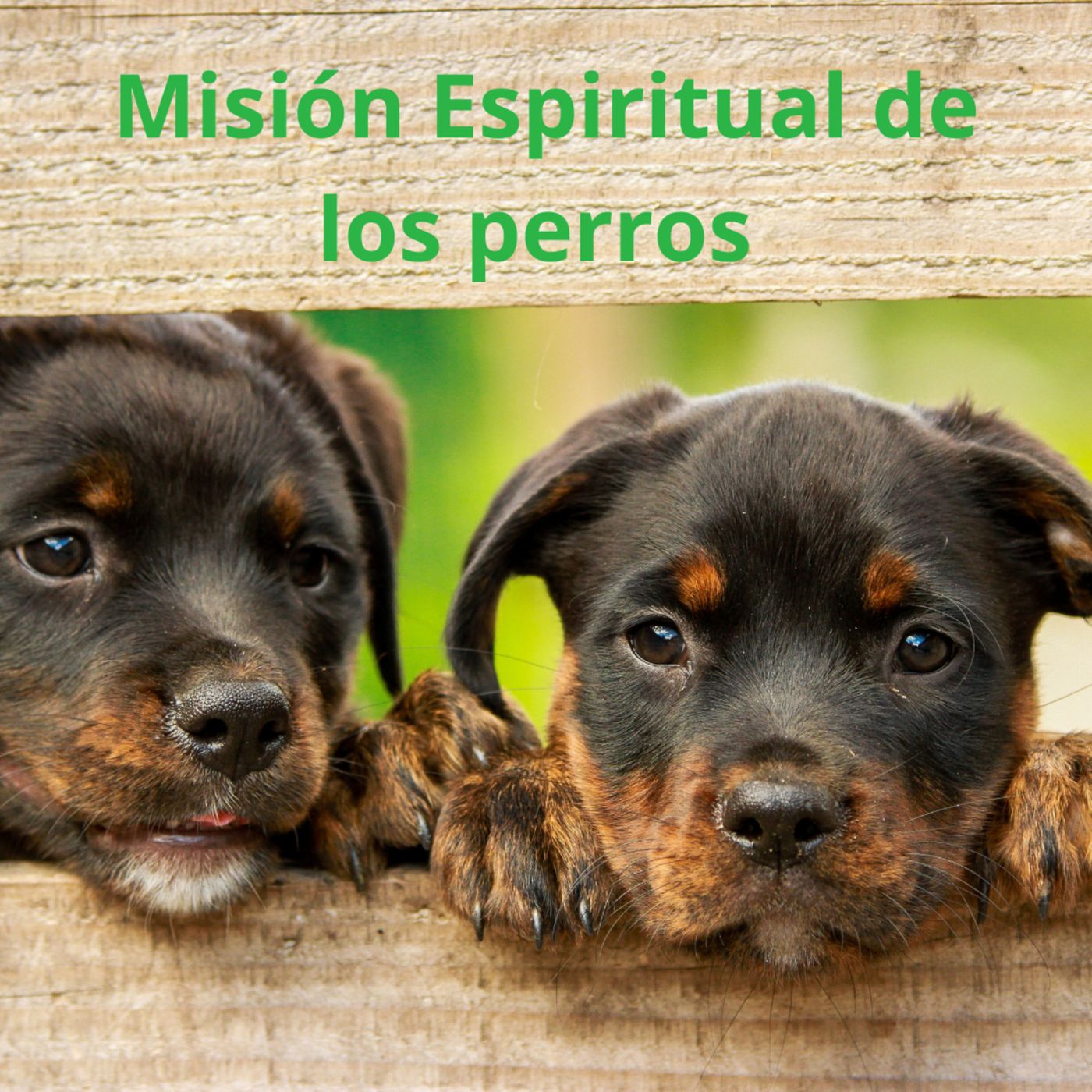Espacio Espiritual By Iraenny Maza