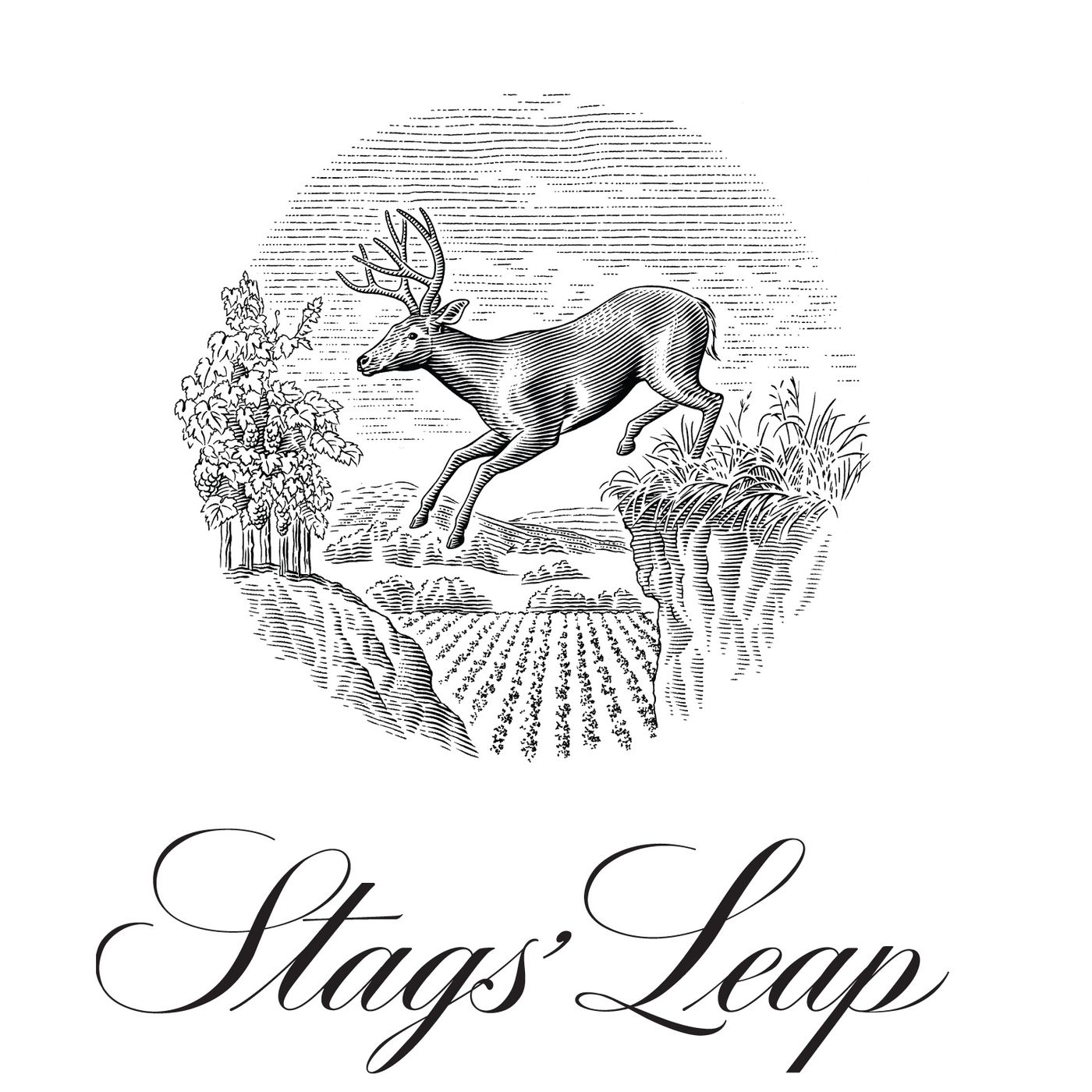 Stags Leap Winery - Christophe Paubert