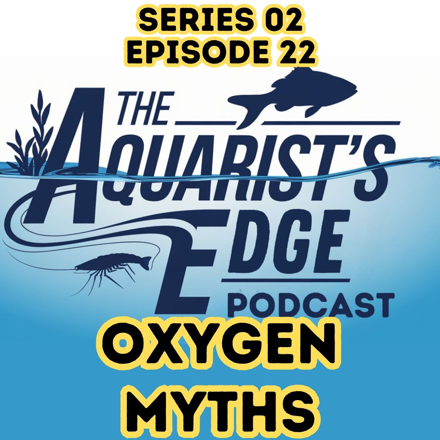 The Aquarist\'s Edge