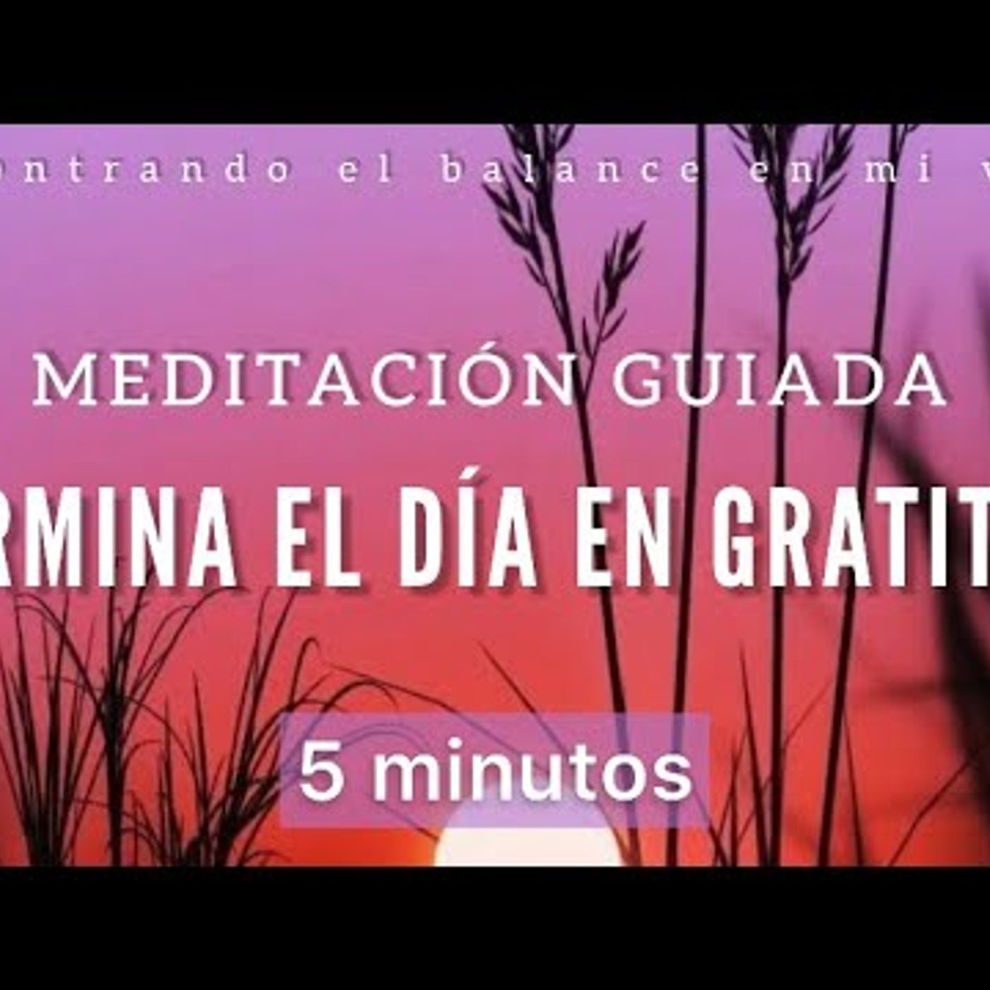 33. Meditación Termina el día en GRATITUD 🙏🏼 - 5 minutos MINDFULNESS