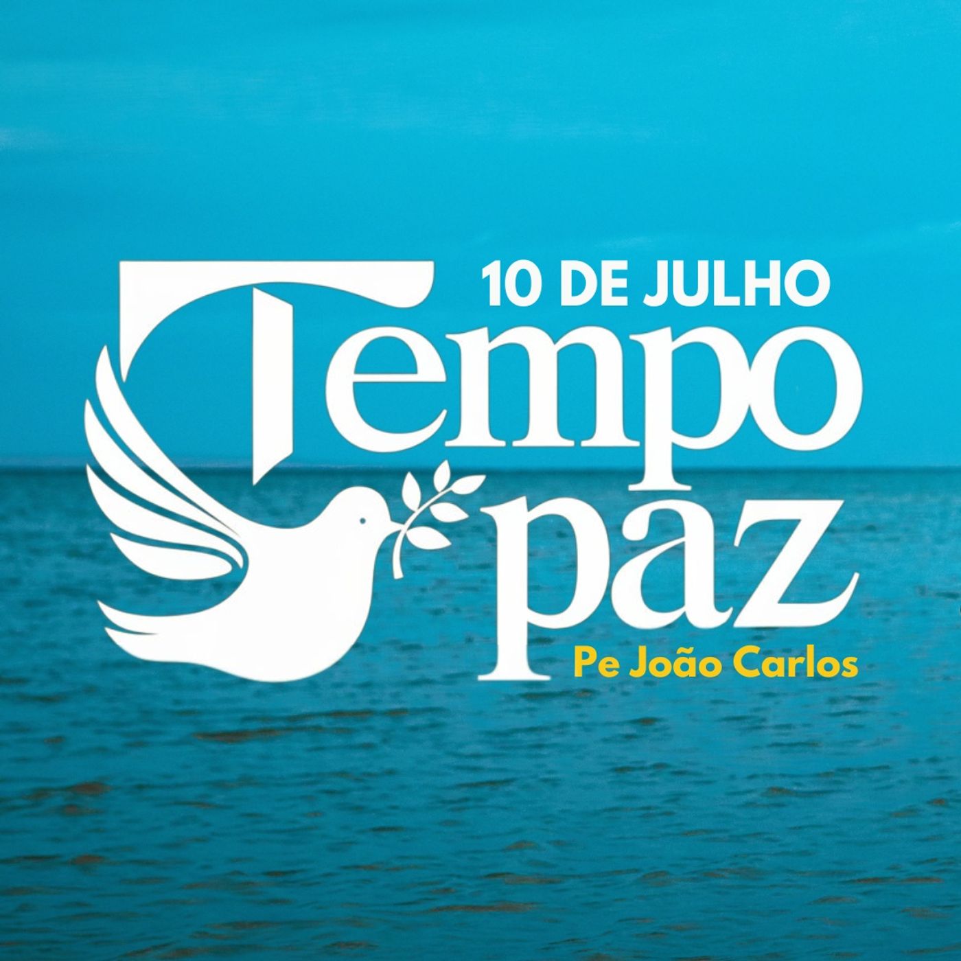 Pe. João Carlos - Meditação da Palavra