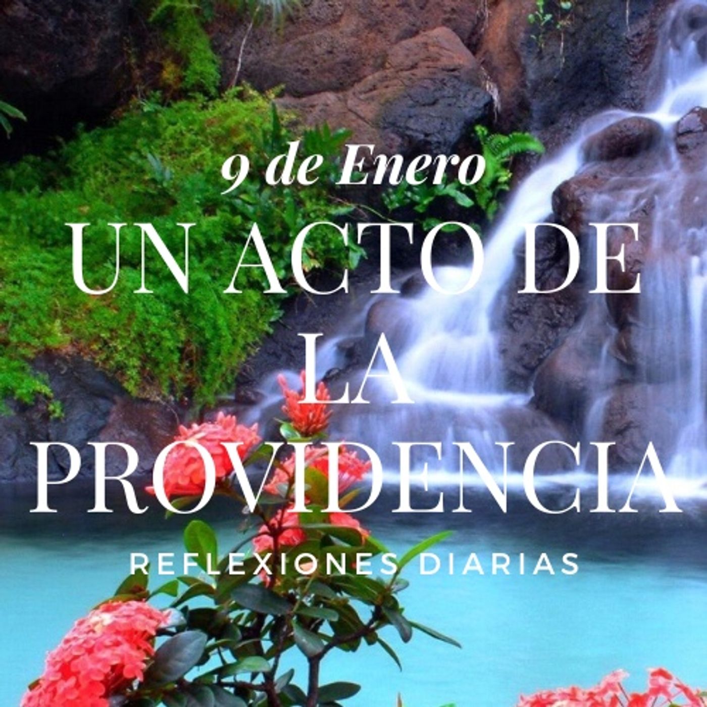 Reflexiones Diarias