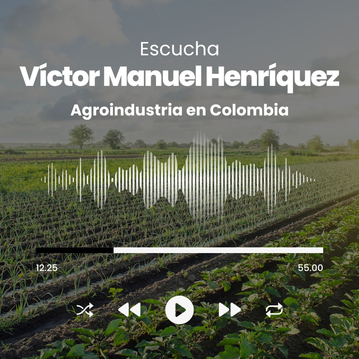 Víctor Manuel Henríquez