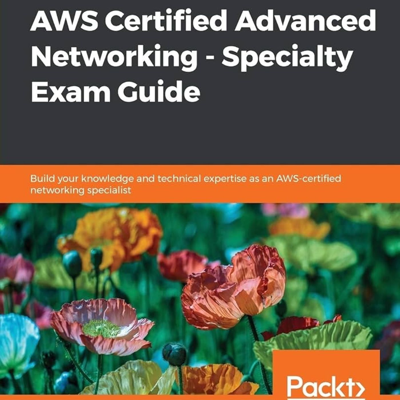 AWS Certified Advanced Networking - Specialty Exam Guide: Build your knowledge and technical expertise as an AWS-certified networking