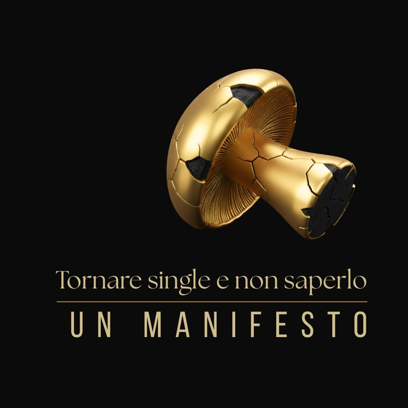 "Un Manifesto" - Episodio 1