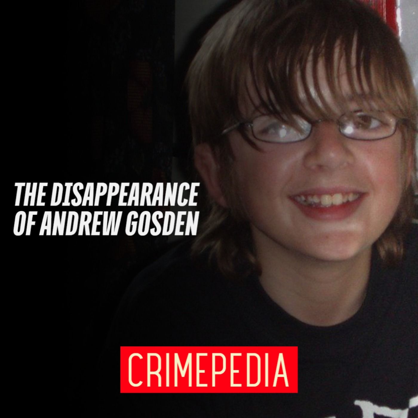 The Disappearance of Andrew Gosden