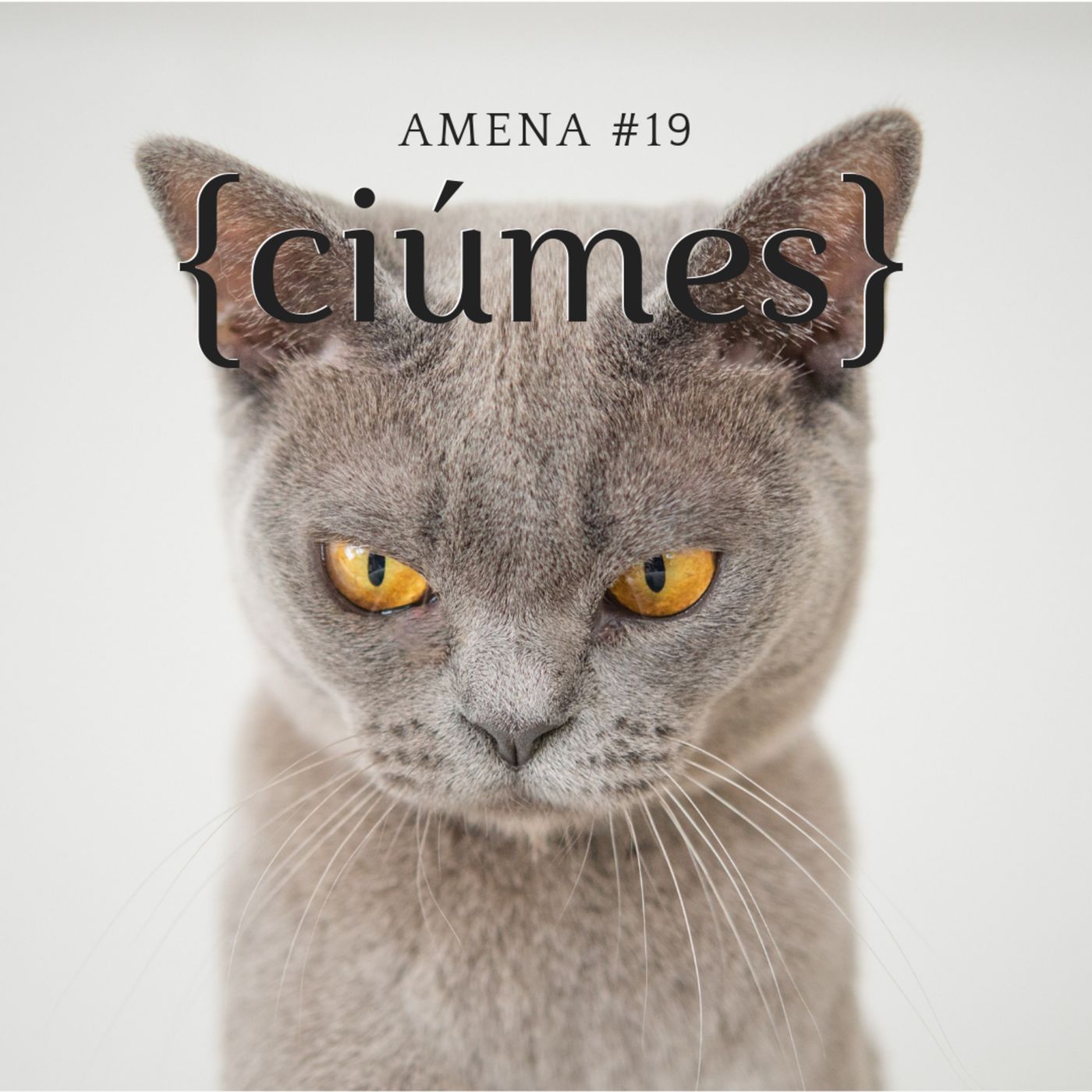 Amena Podcast