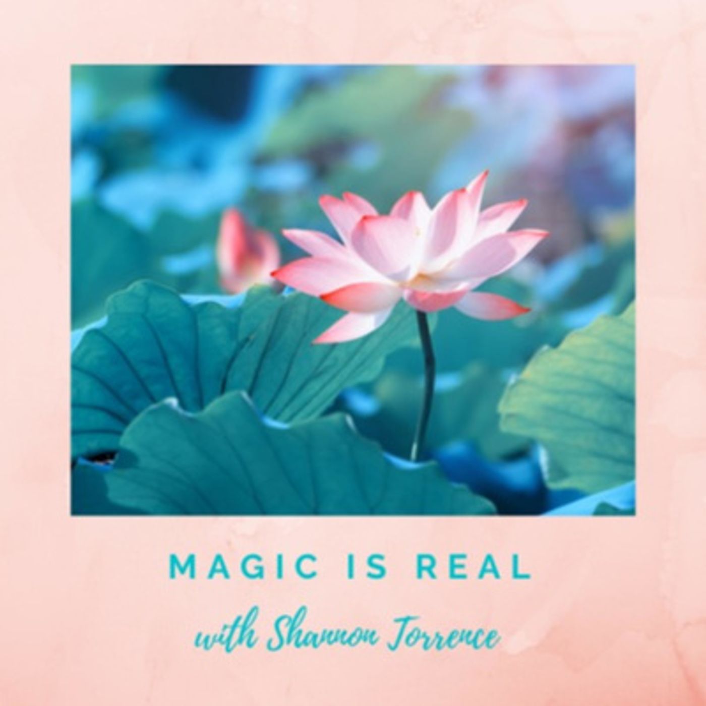 NANCY RYNES SHARES THE STORY OF HER NEAR DEATH EXPERIENCE episode artwork