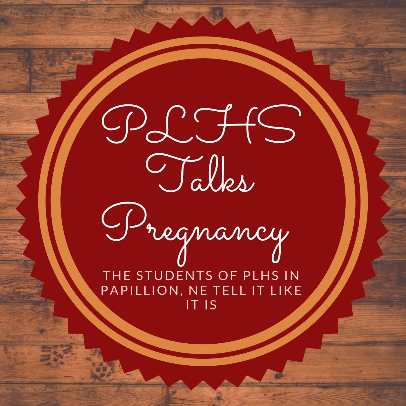 PLHS Talks Pregnancy
