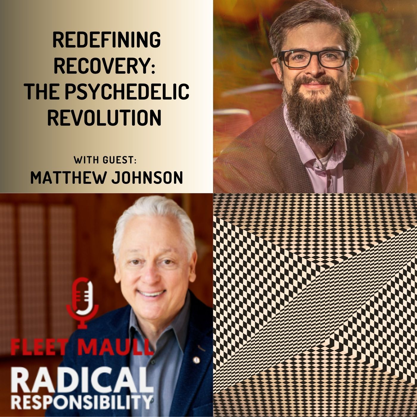 EP 183: Redefining Recovery: The Psychedelic Revolution | Matthew Johnson PhD