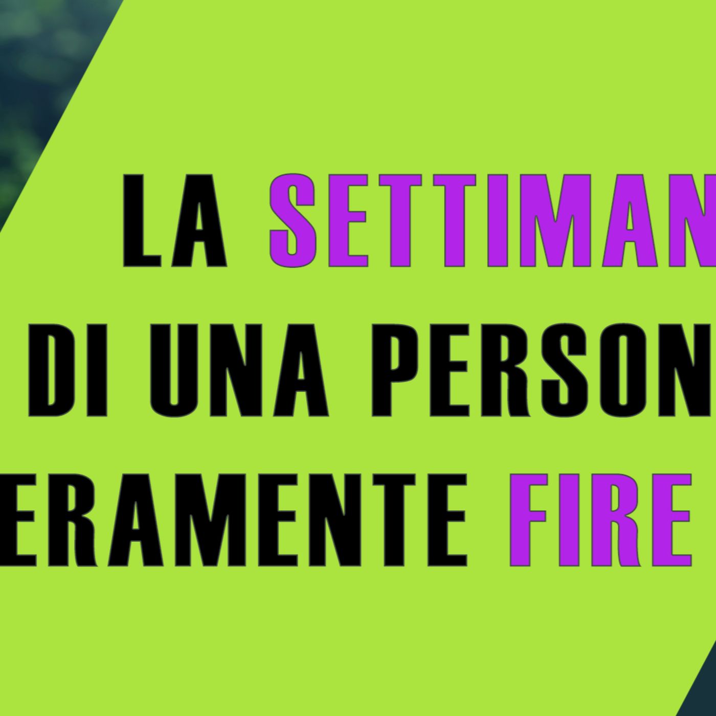 La settimana di una persona FIRE episode artwork