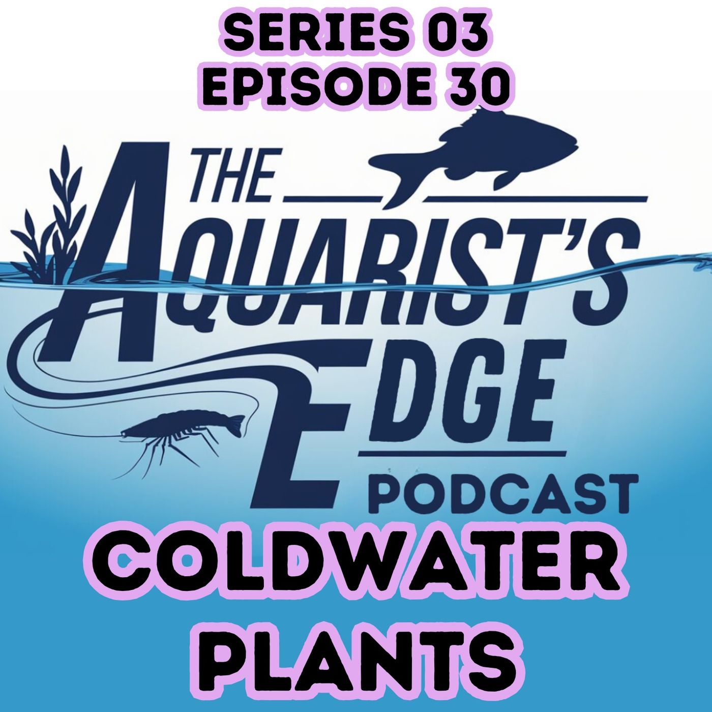 Coldwater Tanks CAN Have Plants: Here's What Actually Survives episode artwork